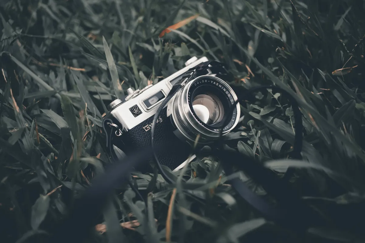 Fotografia analogowa – nie tylko w rytmie slow