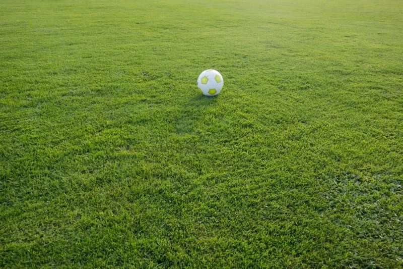 Ekstraklasa sezon 2022/2023 - dowiedz się więcej. Jak wygodnie oglądać transmisje spotkań?